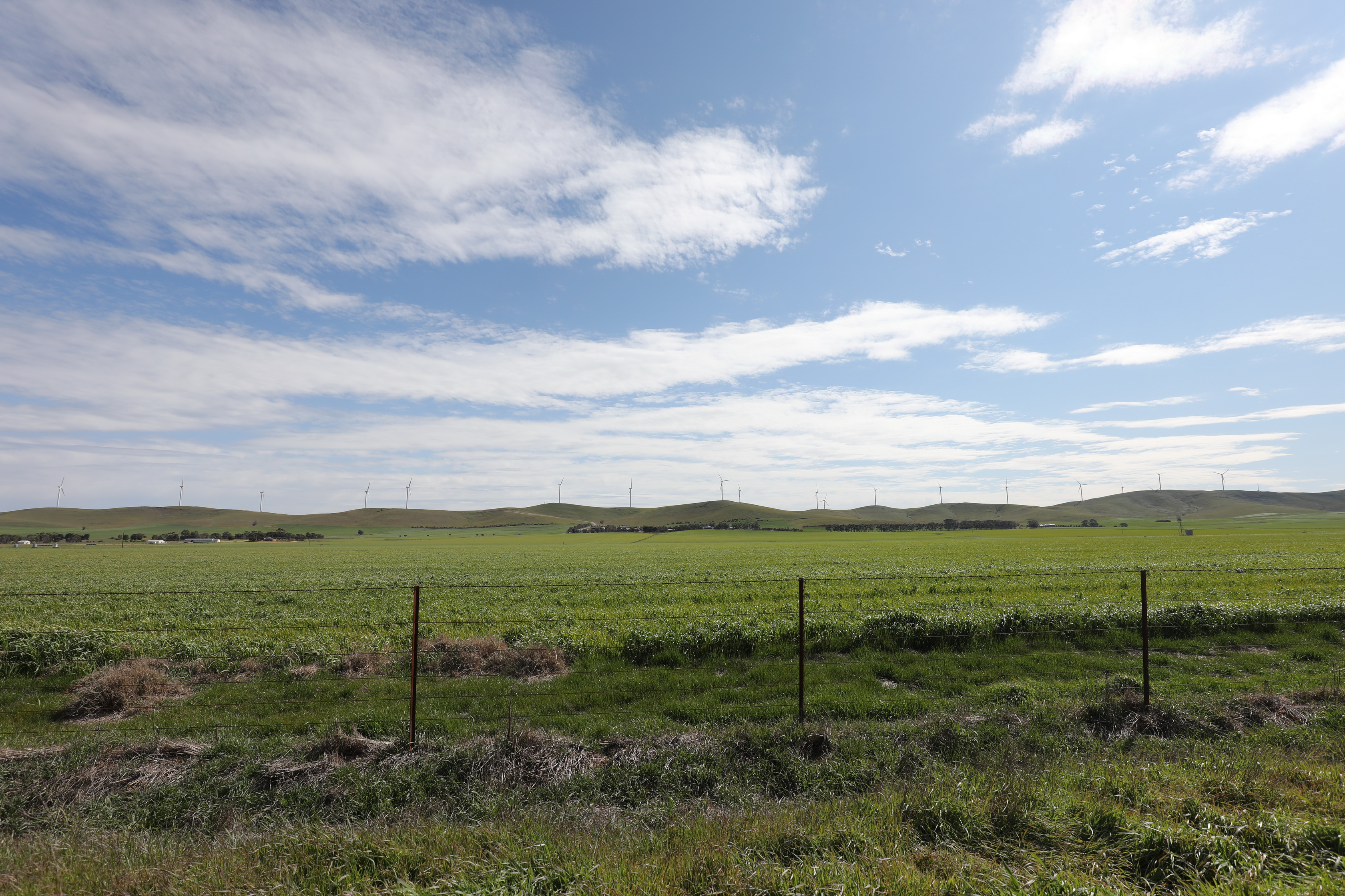 2019 08 31 13 28 49 Canon EOS 5D Mark IV 0001